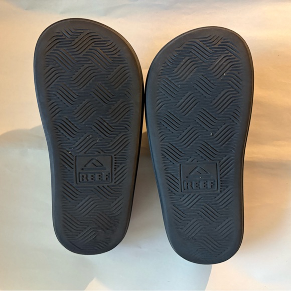 REEF Platform Slides - Picture 2 of 5